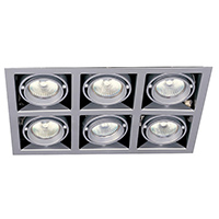 LED Down Light