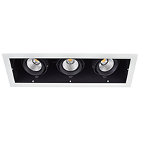 LED Down Light